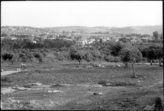 Blick vom Aussätzigen-Asyl auf die deutsche Kolonie in Jerusalem