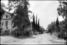 Nebenstraße in der deutschen Kolonie Sarona