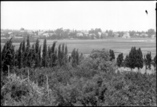 Deutsche Kolonie Sarona mit Felder, 1930