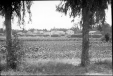 Ansicht der deutschen Kolonie Wilhelma, 1930