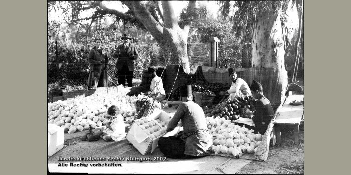 Syrisches Waisenhaus Bir Salem, Ernte