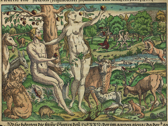 Kolorierter Holzschnitt placeholder